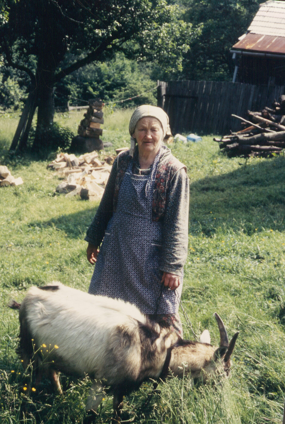 Stařenka s kozou.